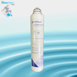 Pentek QC10-CBRR Filter
